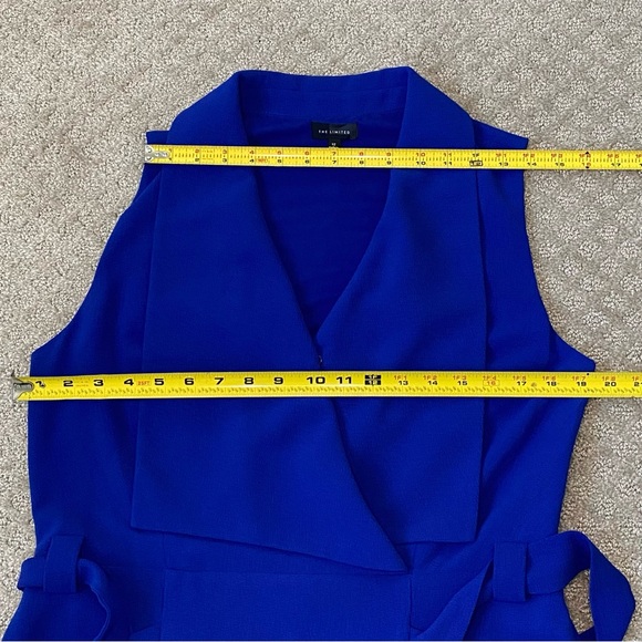 The Limited Blue Belted Dress - Picture 11 of 15